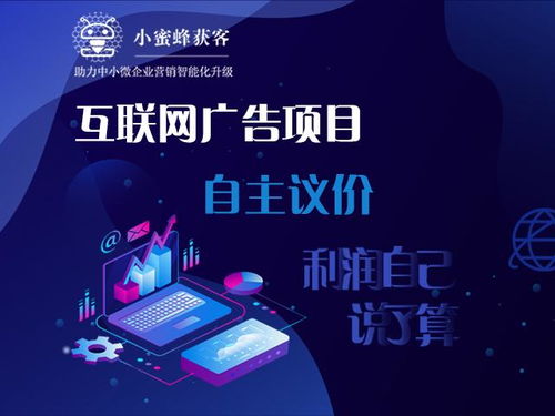 地產(chǎn)營(yíng)銷(xiāo)公司攜手大數(shù)據(jù) 互聯(lián)網(wǎng)廣告項(xiàng)目,三個(gè)月賺了700萬(wàn)